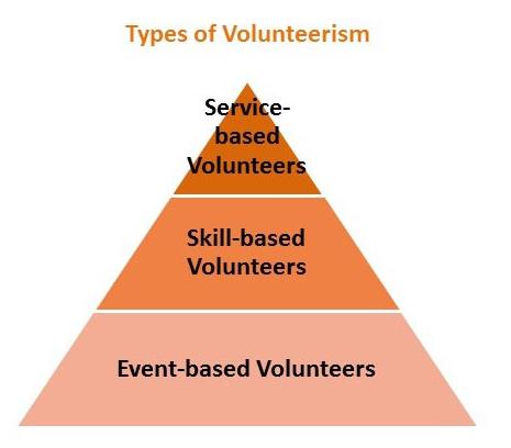 Volunteer Capability and Capacity Examples